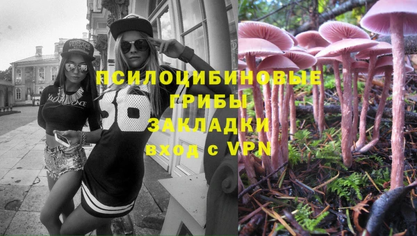 трава Алзамай